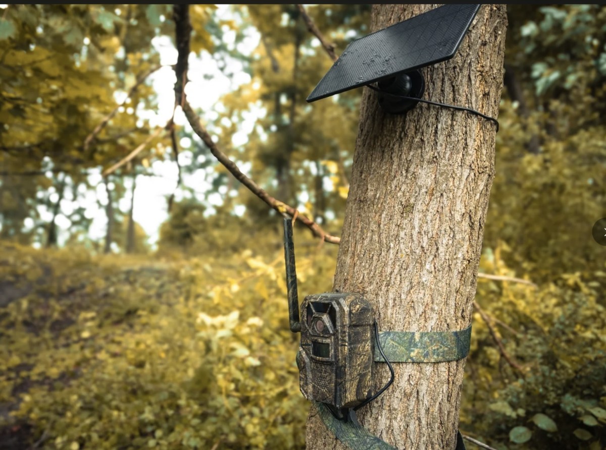 what-you-will-see-thanks-to-the-eaglecam-5-cellular-trail-camera